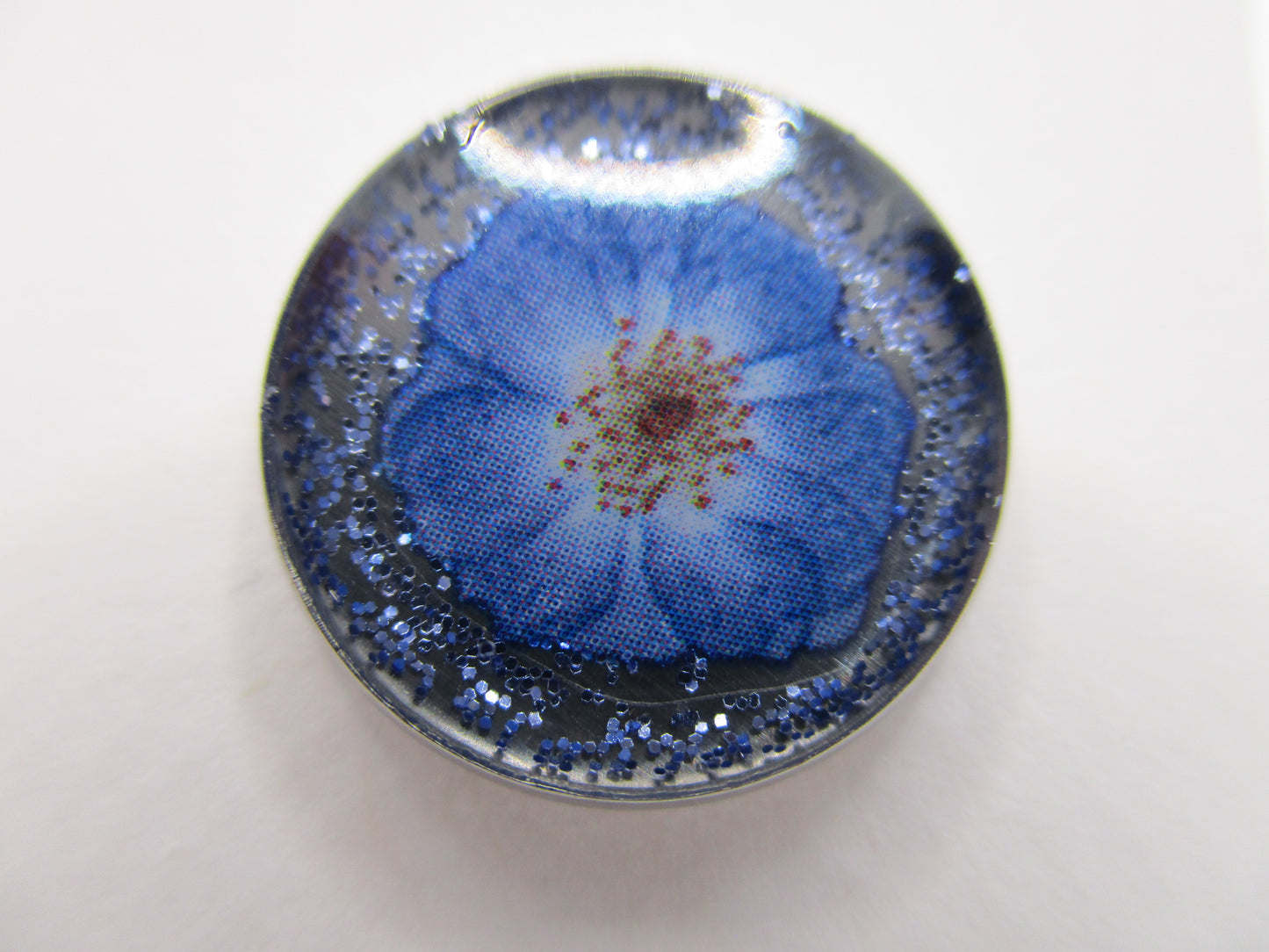 14MM Hypoallergenic Stainless-Steel Small Blue Flower With Some Glitter Stud Earrings (Not a real dried flower)